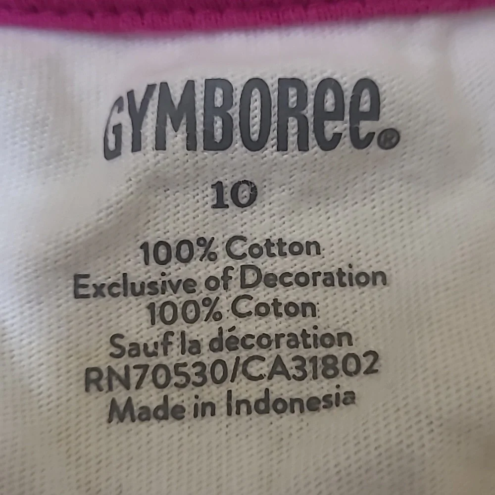 Gymboree Cream T-Shirt with Owl Design used exelente condition. zise 10 for girl